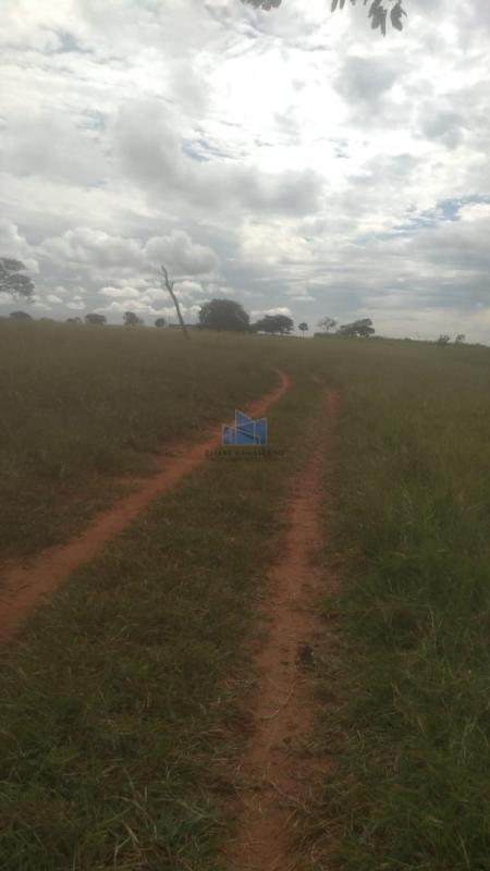 fazenda-venda-campina-verde-mg-736483