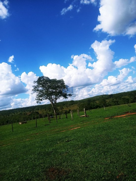 fazenda-venda-campina-verde-mg-773881