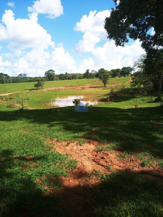 fazenda-venda-campina-verde-mg-773883