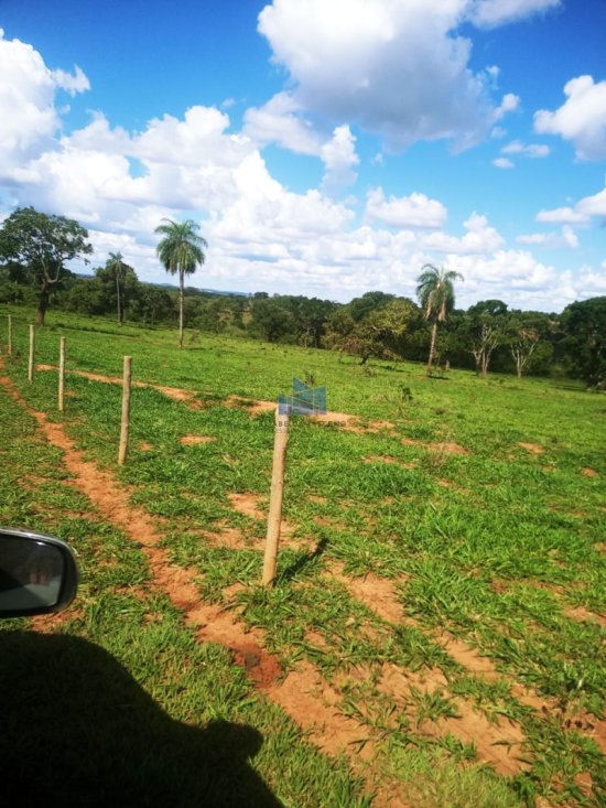 fazenda-venda-campina-verde-mg-773884